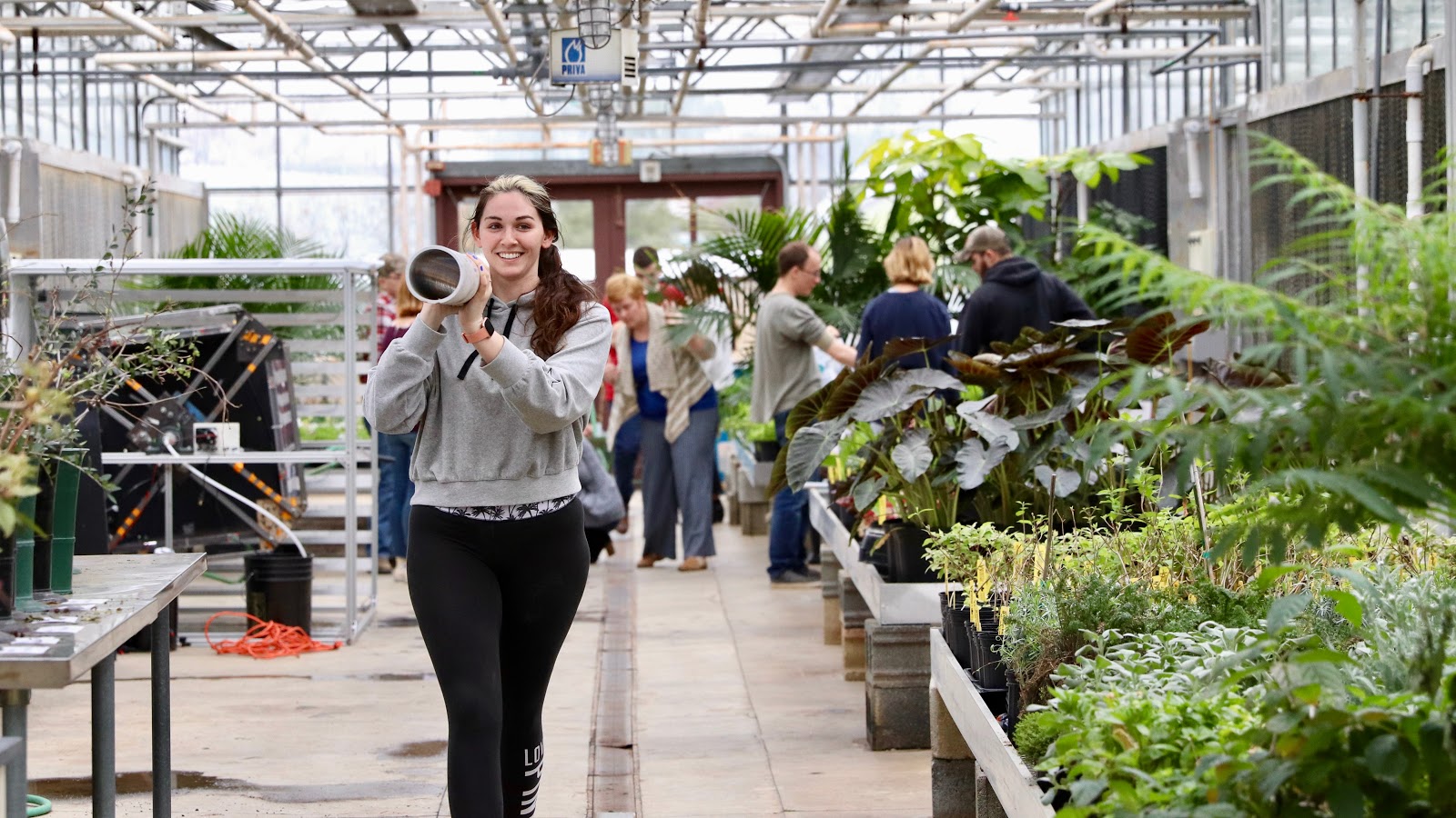 A student walking towards the camera while holding piping while walking through a greenhouse. There are plants to her left and some students and professors in the background.